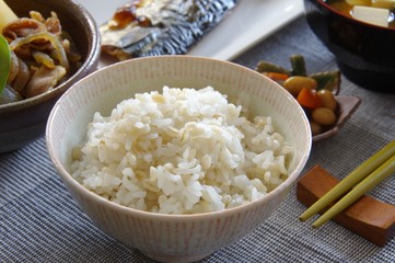 和食　もち麦ご飯