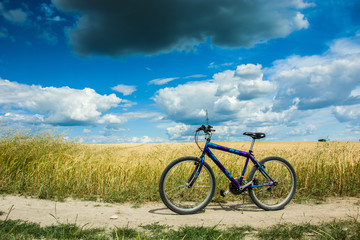 Fototapeta na wymiar Bike on a country road, cereal field and clouds on a blue sky