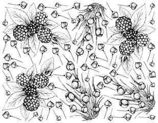 Tuinposter Hand Drawn of Dewberries and Ephedra Distachya Fruits Background © Iamnee