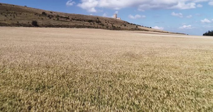 Yellow wheat fields in Guadalajar Castilla La Mancha Spain