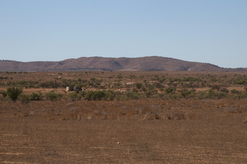 Hawker South Australia,  panoramic view of paddock with windmill, water tanks and sheep
