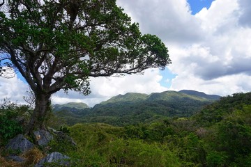 Obraz premium Aussicht von einem Berg im Topes de Collabntes auf Kuba