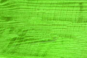 green abstract background with horizontal lines for nature,technology,fractal and dynamic designs .