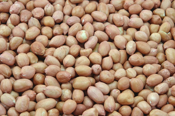 peanut seeds