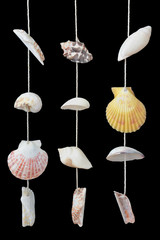 curtain shells