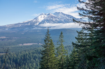 Shasta Mountian