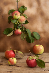 Fruit in wicker basket harvest.