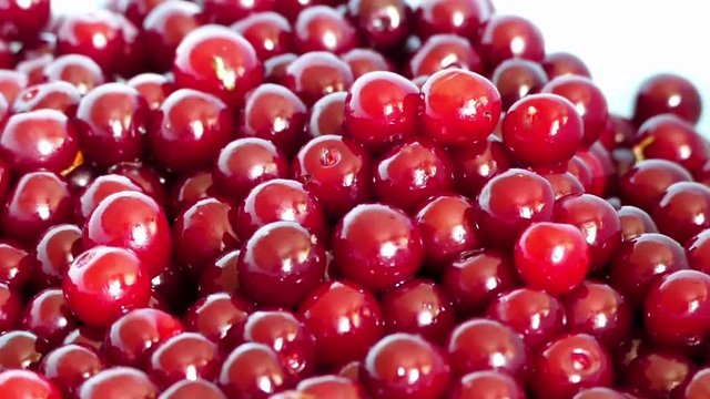 A woman is washing cherries to make cherry jam,

