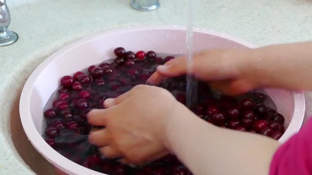 A woman is washing cherries to make cherry jam,


