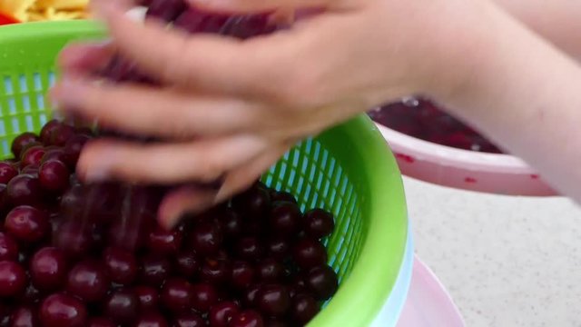 A woman is washing cherries to make cherry jam,


