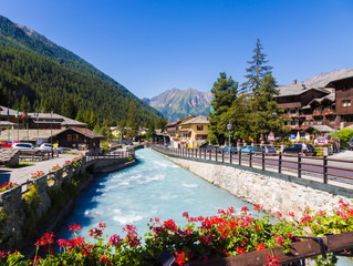 Fototapeta na wymiar Italian Alps landscape, vibrant colors and summer flora