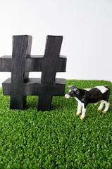 ハッシュタグと牛