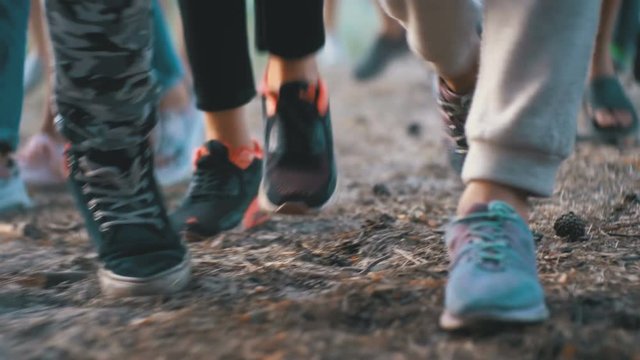 Legs of a crowd of people walking along the path in the woods in the evening. The camera moves with people. Close-up of Crowd feet. Many Legs of children walking in the forest