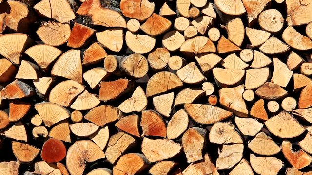 Zoom in stack cut fire wood detail