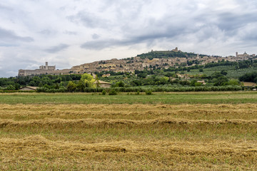 Fototapeta na wymiar Religiöses Zentrum: Assisi