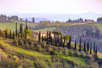 Typical Tuscan landscape