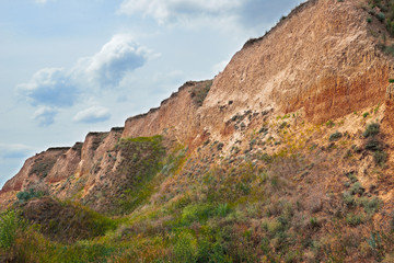 wildflowers on high coast by the sea, beautiful coastal landscape, travel concept
