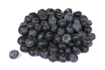 Myrtilles sur fond blanc