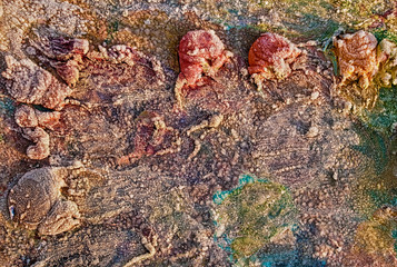 Frozen colorful palette of paints