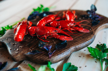 crayfish red boiled on a kitchen board with basil with parsley dill with a glass of beer