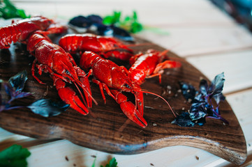 crayfish red boiled on a kitchen board with basil with parsley dill with a glass of beer