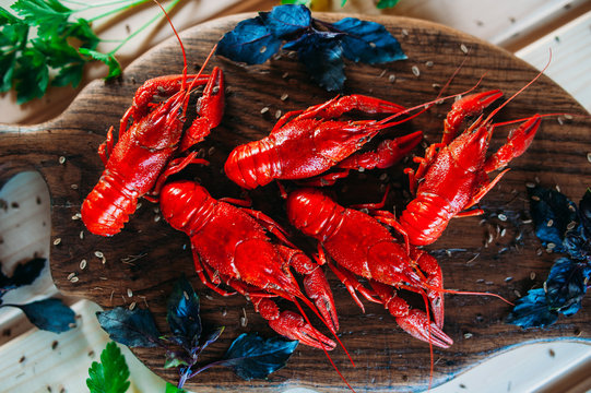 crayfish red boiled on a kitchen board with basil with parsley dill with a glass of beer