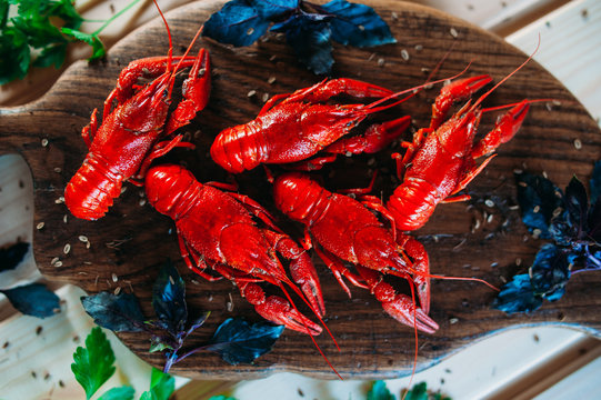 crayfish red boiled on a kitchen board with basil with parsley dill with a glass of beer