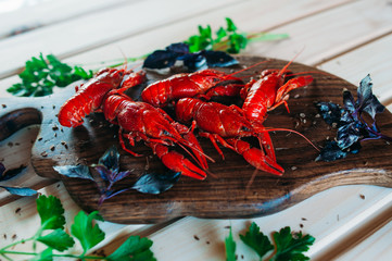 crayfish red boiled on a kitchen board with basil with parsley dill with a glass of beer