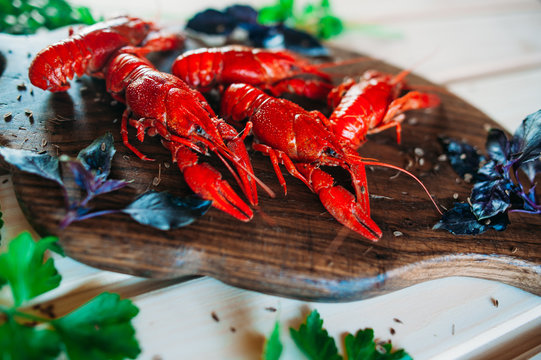 crayfish red boiled on a kitchen board with basil with parsley dill with a glass of beer