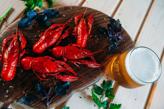crayfish red boiled on a kitchen board with basil with parsley dill with a glass of beer