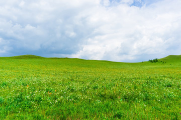 The Ulan prairie in the midsummer