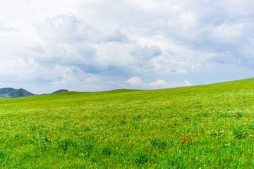 The Ulan prairie in the midsummer