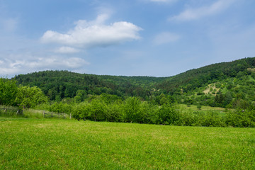 Fototapeta na wymiar Germany, Nature landscape of mountainous forest near Stuttgart