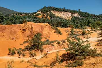 Colorado Provencal Landscape