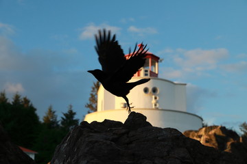 Amphitrite Point Lighthouse near Uclulelet, Vancouver island, British Columbia Canada