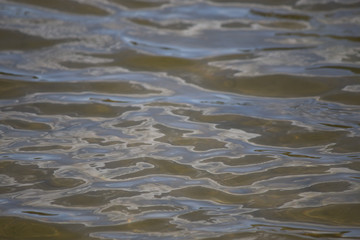 Fototapeta na wymiar Fluid Water Texture Background Australian Lake Brown 
