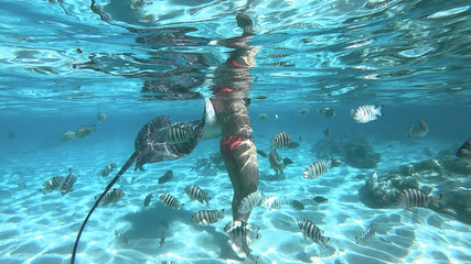 snorkeling in a lagoon with woman and fish ray, French Polynesia