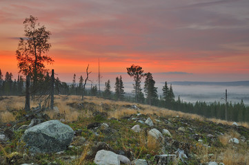 Fulufjellet-Nationalpark zwischen Norwegen und Schweden