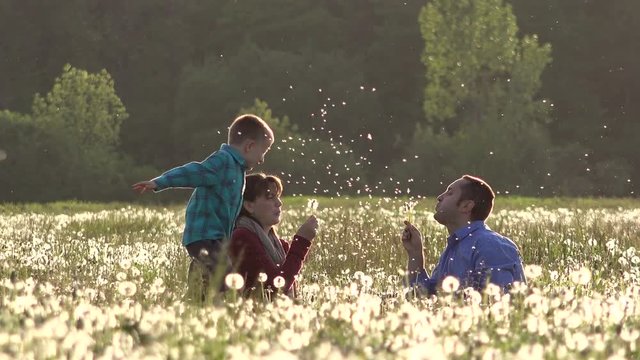Happy child has fun running and playing around parents blowing dandelions, family outdoor recreation, kid with mother and father relax in nature, love is the air concept
