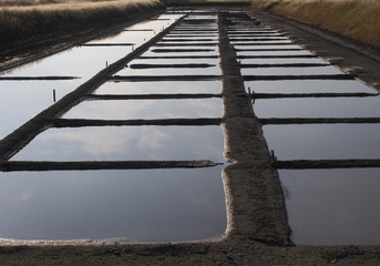 salinas