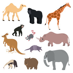 Wild animals set in flat style. Vector Illustration
