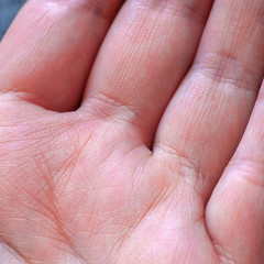 Close - up of human hand, the value of lines on the palm of texture, female hand