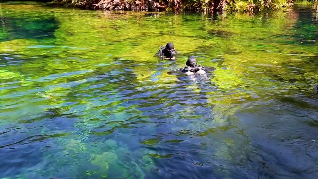TДва дайвера в полном обмундировании готовятся к погружению в подводную пещеру сенот в Мексике. В зеленой голубой воде, озеро на открытом воздухе против зеленых джунглей.