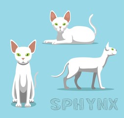 Cat Sphynx Cat Cartoon Vector Illustration