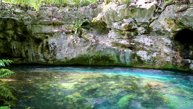 Дайверы плывут под водой в голубом озере пещера мечты ворота Сенот возле Дос Охос, Мексика.
