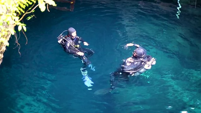 Гранат зелено красный висящий на ветке с листьями на дереве 