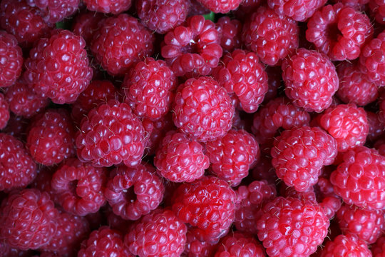 Beautiful Red Raspberry background