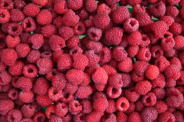 Beautiful Red Raspberry background