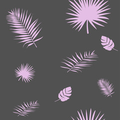 Vector illustration of a silhouette of a pink palm leafs