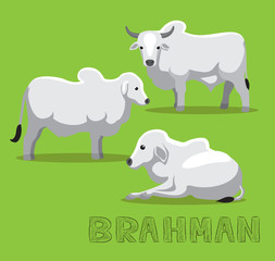 Cow Brahman Cartoon Vector Illustration